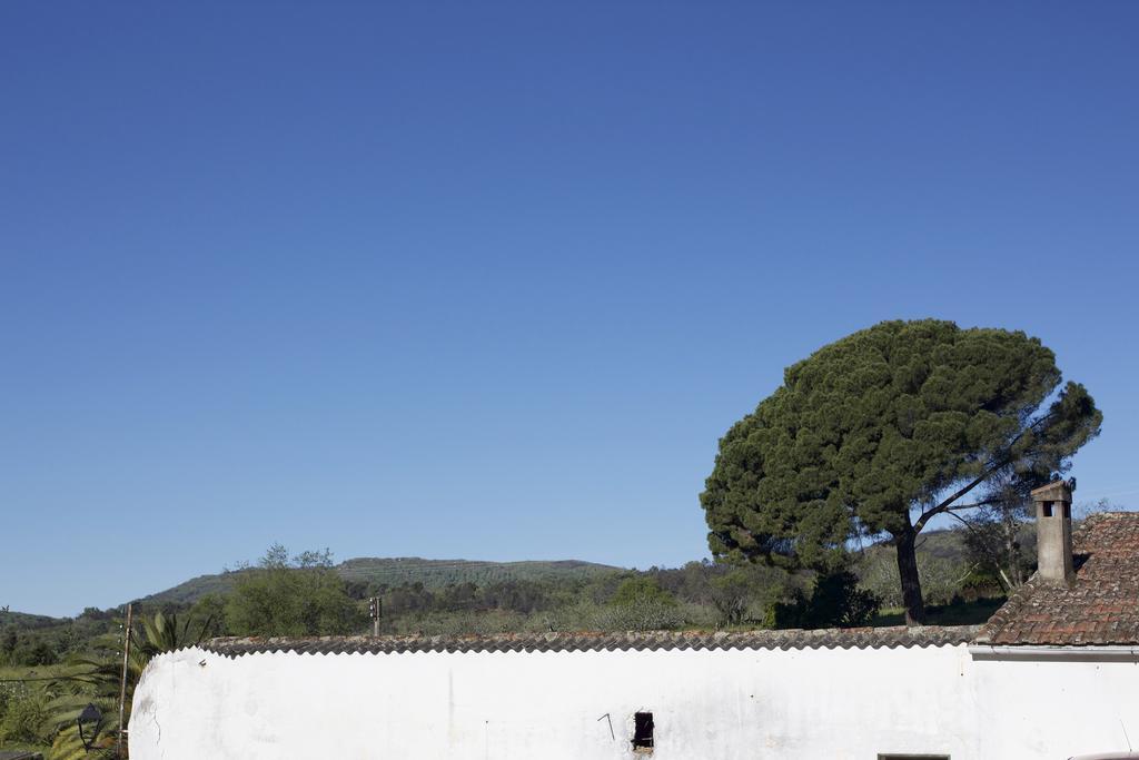 Maison d'hôtes La Grulla Dorada à Perales del Puerto Extérieur photo